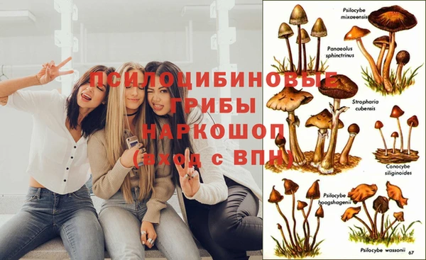 2c-b Абдулино